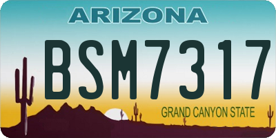 AZ license plate BSM7317