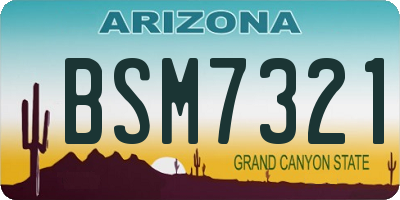 AZ license plate BSM7321