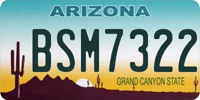 AZ license plate BSM7322