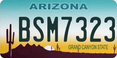 AZ license plate BSM7323