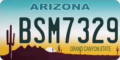 AZ license plate BSM7329