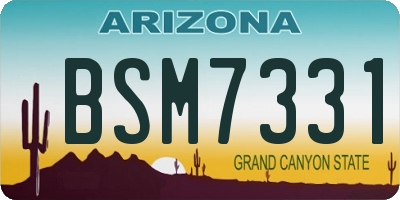 AZ license plate BSM7331