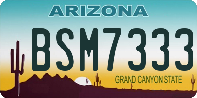 AZ license plate BSM7333