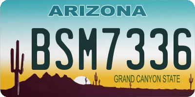 AZ license plate BSM7336