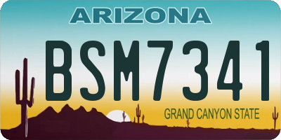 AZ license plate BSM7341