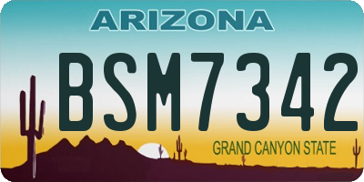 AZ license plate BSM7342