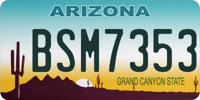 AZ license plate BSM7353