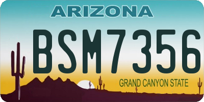 AZ license plate BSM7356