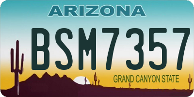 AZ license plate BSM7357