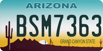 AZ license plate BSM7363