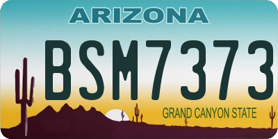 AZ license plate BSM7373