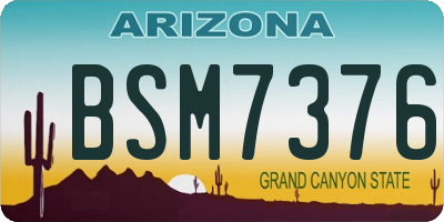 AZ license plate BSM7376