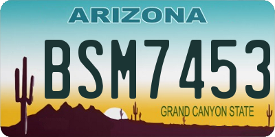 AZ license plate BSM7453