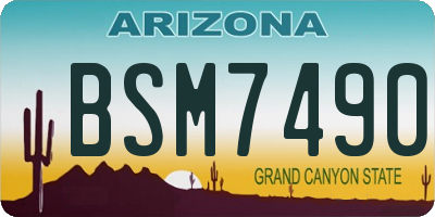 AZ license plate BSM7490