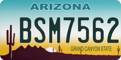 AZ license plate BSM7562