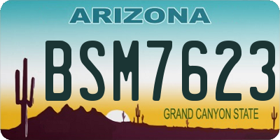 AZ license plate BSM7623