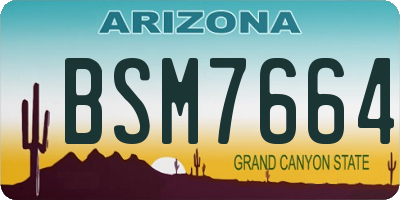 AZ license plate BSM7664