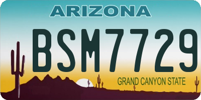 AZ license plate BSM7729