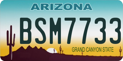 AZ license plate BSM7733