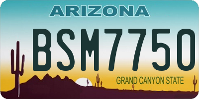 AZ license plate BSM7750