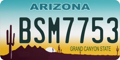 AZ license plate BSM7753