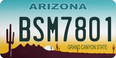 AZ license plate BSM7801