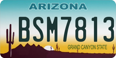 AZ license plate BSM7813