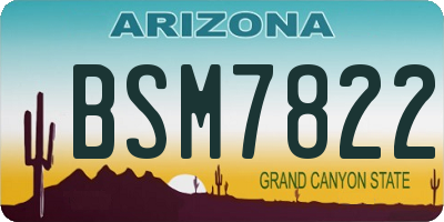 AZ license plate BSM7822