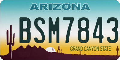 AZ license plate BSM7843