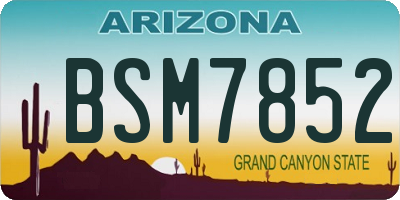 AZ license plate BSM7852