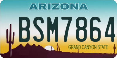 AZ license plate BSM7864