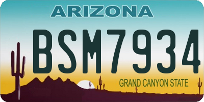 AZ license plate BSM7934