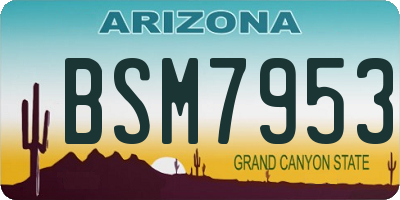 AZ license plate BSM7953