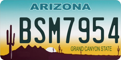 AZ license plate BSM7954