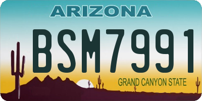 AZ license plate BSM7991