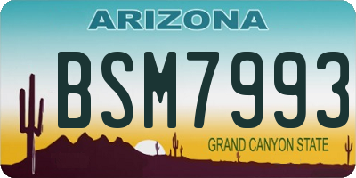 AZ license plate BSM7993