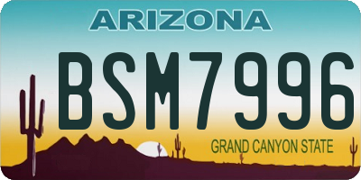AZ license plate BSM7996