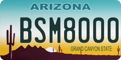 AZ license plate BSM8000