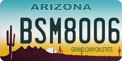 AZ license plate BSM8006