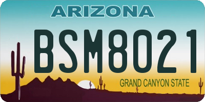 AZ license plate BSM8021