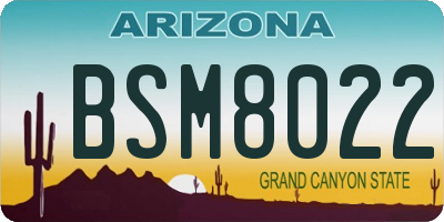 AZ license plate BSM8022