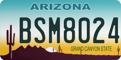 AZ license plate BSM8024
