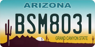 AZ license plate BSM8031