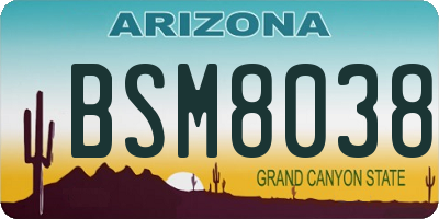 AZ license plate BSM8038