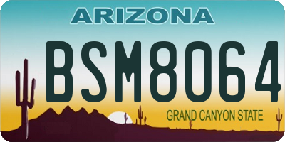 AZ license plate BSM8064