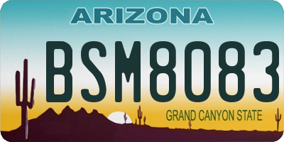 AZ license plate BSM8083