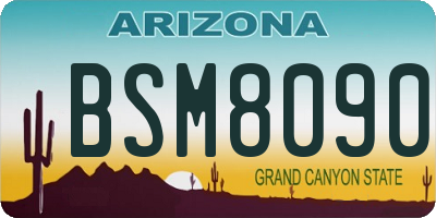AZ license plate BSM8090