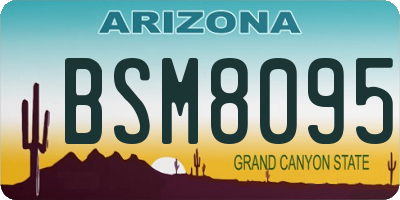 AZ license plate BSM8095