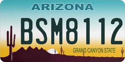 AZ license plate BSM8112