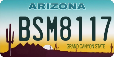 AZ license plate BSM8117